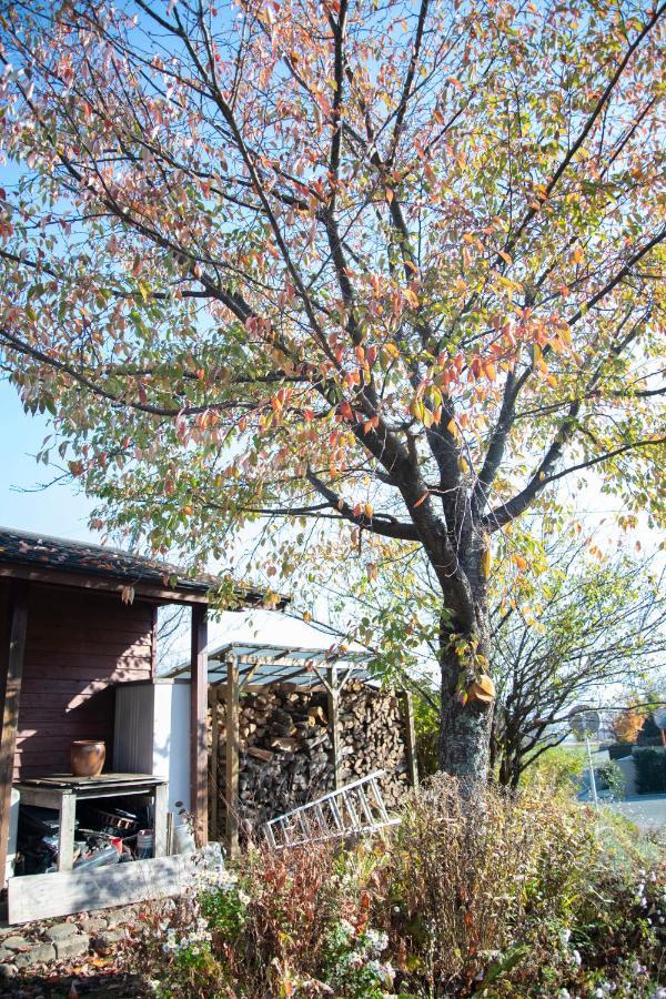南阿蘇村 Soilヴィラ エクステリア 写真